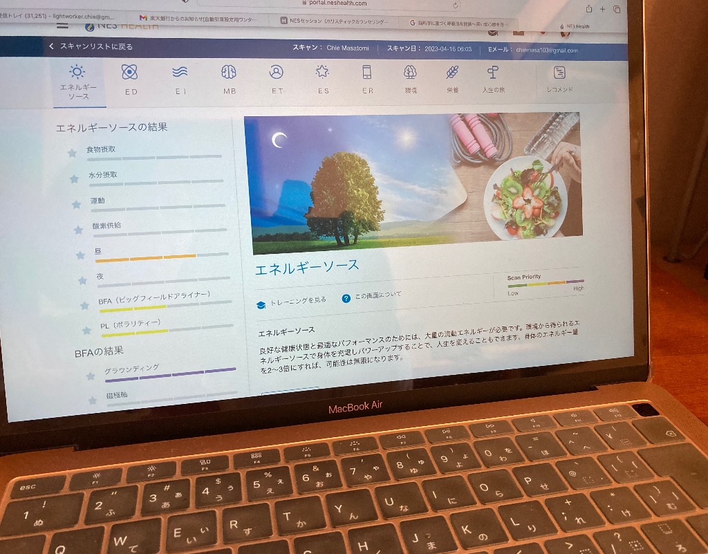 NESシステムとは